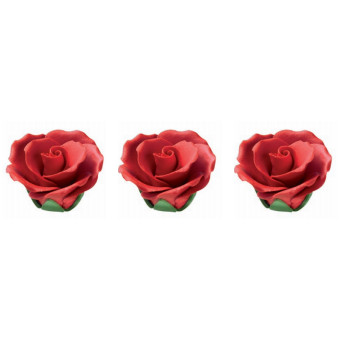 Rosa Con Cáliz · Artipas