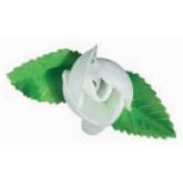 Rosa 2 Hojas Blanca · 100 unidades · Artipas