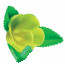 Rosa nº 7 con Hoja Amarilla · 100 unidades · Artipas
