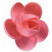 Rosa nº 1 Rosa · 200 unidades · Artipas