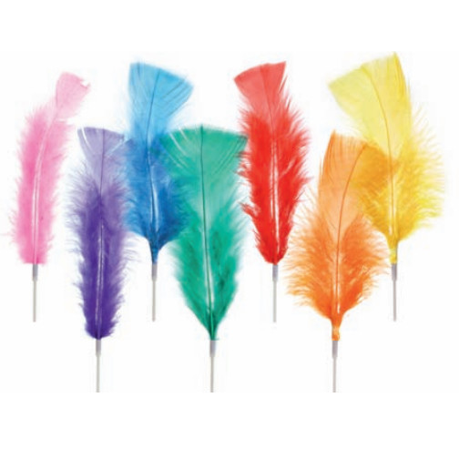 Plumas Grandes Unicolor · 200 unidades · Artipas