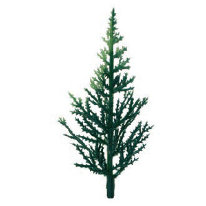 Árbol Conifero · Artipas