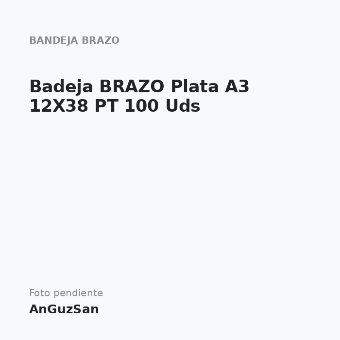 Bandeja BRAZO Plata A3  12X38  PT 100 Uds · Vifra