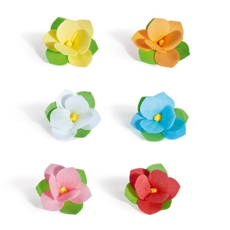 Peonia Surtida Tupper Personalizado · 100 unidades · Artipas