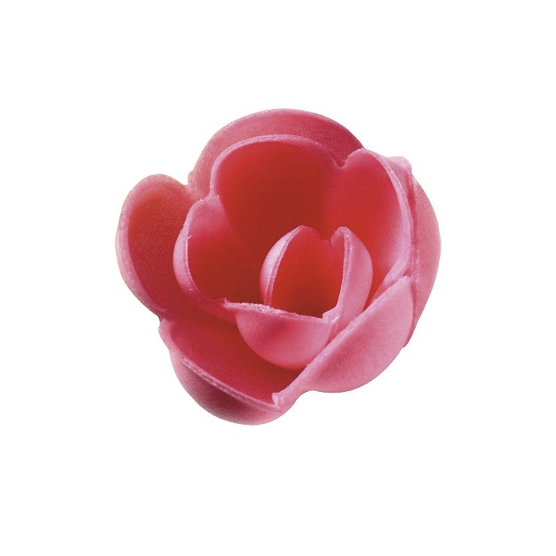 Rosa N-7 Rosa Caja Artipas · 100 unidades