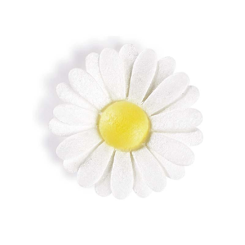 Margarita Blanca Tupper Artipas · 100 unidades