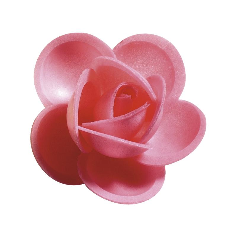 Rosa N-3 Rosa Tupper Artipas · 55 unidades
