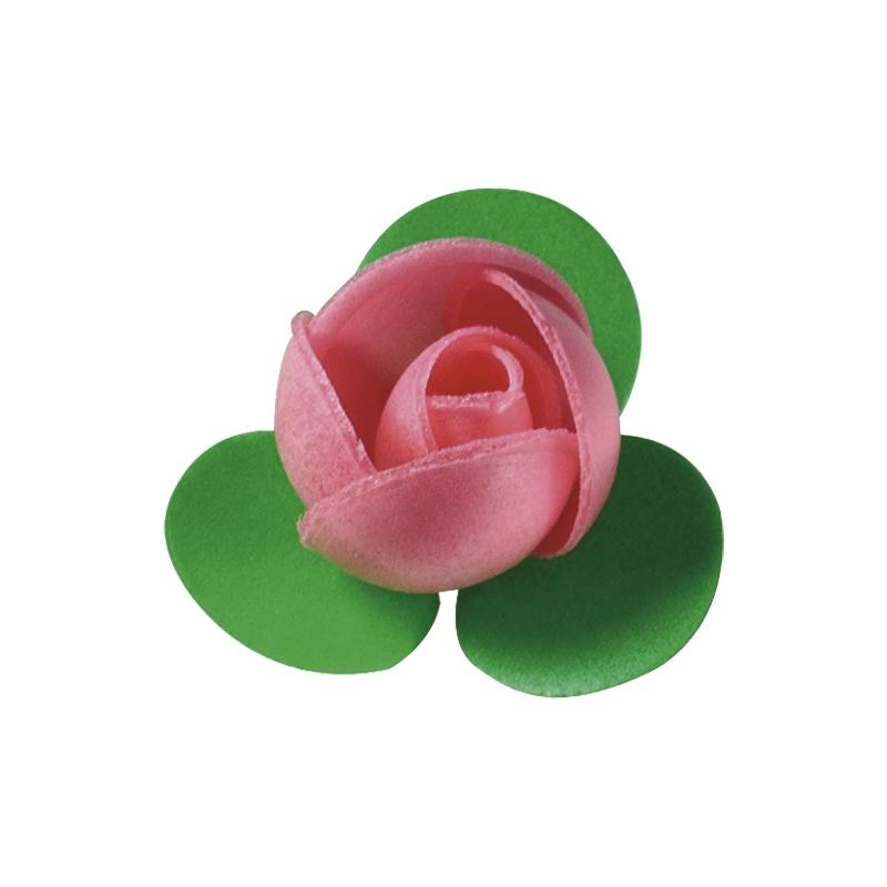 Nueva Rosa 3 H. Rosa Tupper Artipas · 200 unidades