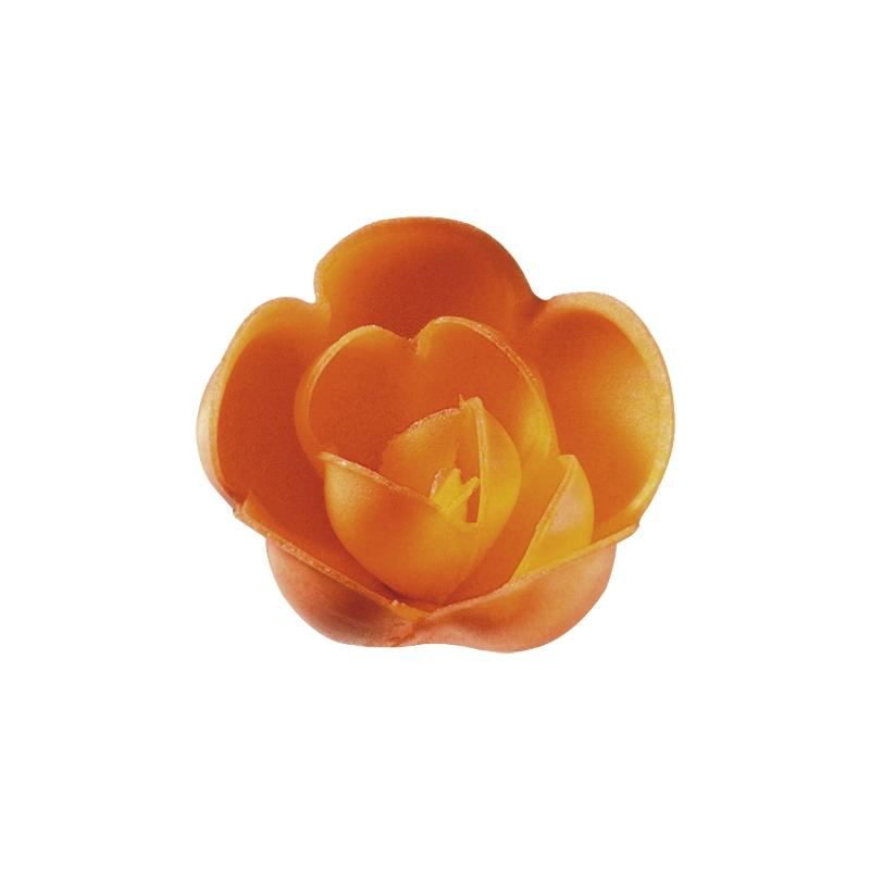 Rosa N-7 Salmón Tupper Personalizado · 60 unidades · Artipas