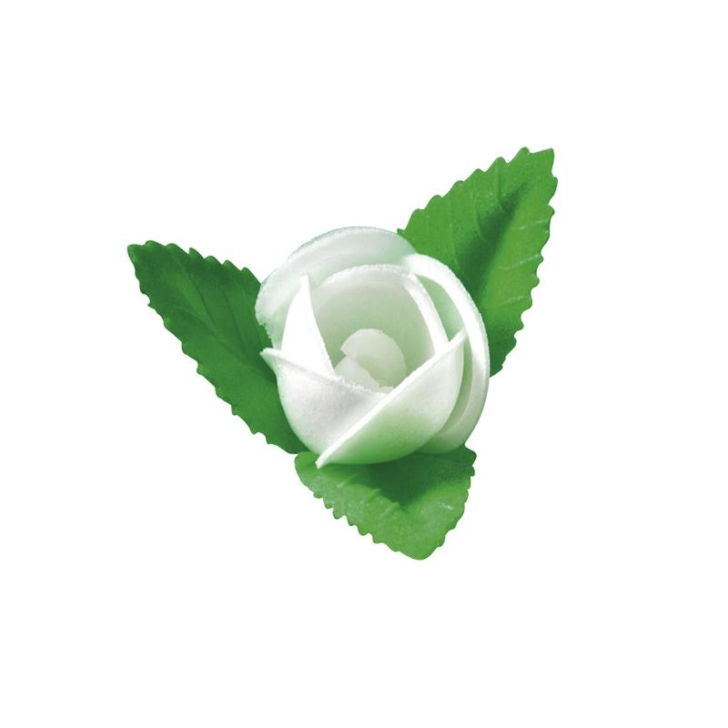 Rosa Extra Blanca Tupper Personalizado · 55 unidades · Artipas