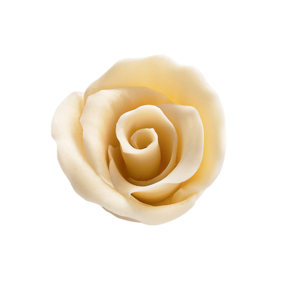 Rosa de Chocolate Blanca (30 u.) · 30 unidades · Artipas