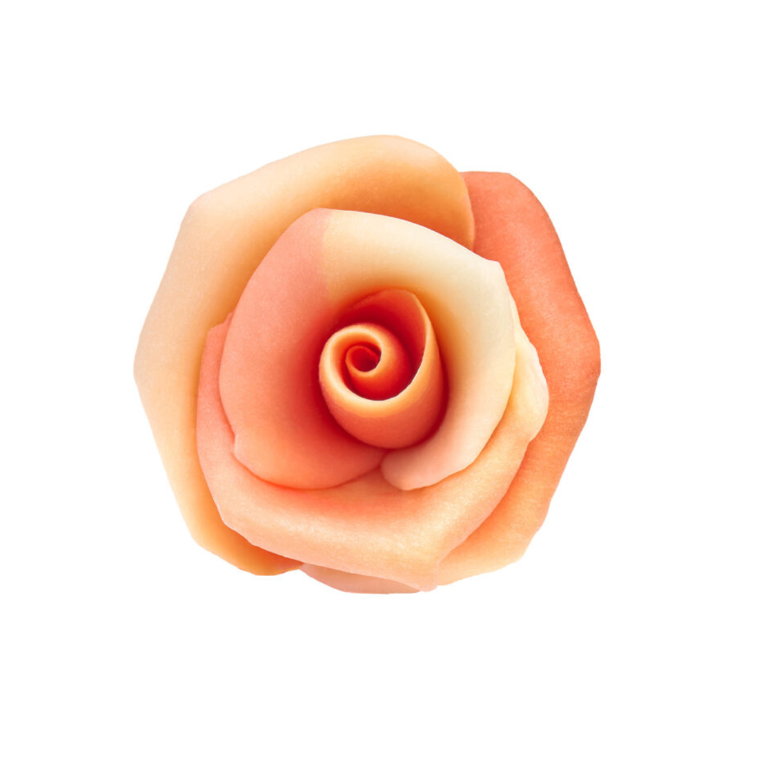Rosa de Chocolate Salmón (30 u.) · 30 unidades · Artipas