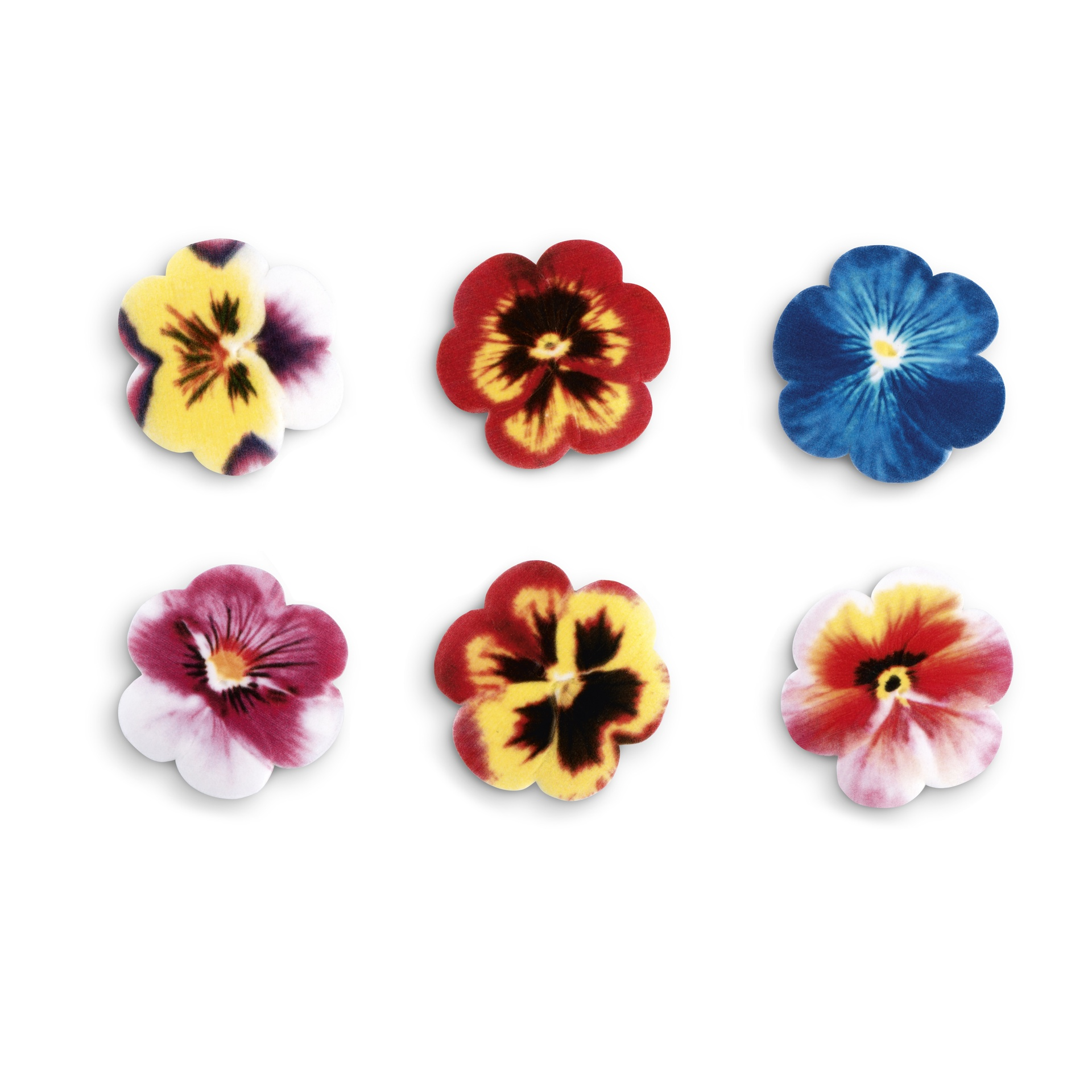 Petunias ø 30 mm (100 u.) · 100 unidades · Artipas