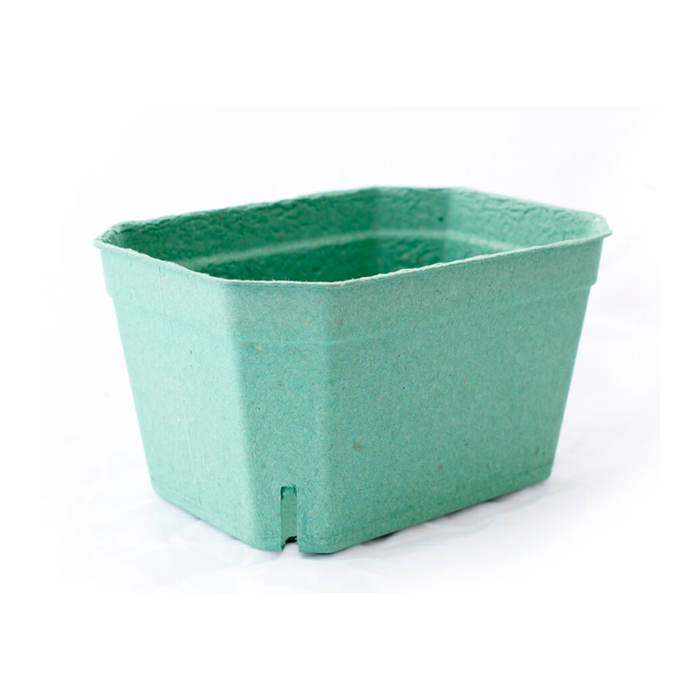 Bandeja Alta Fibra Carton Para Fruta Y Vegetales 19x14x10,5cm. 1kg. (Pack/40uds) · VasoMadrid