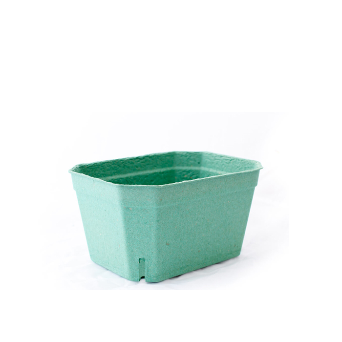 Bandeja Alta Fibra Carton Para Fruta Y Vegetales 14x9x5,5 Cm. 250g. (Pack/40uds) · VasoMadrid