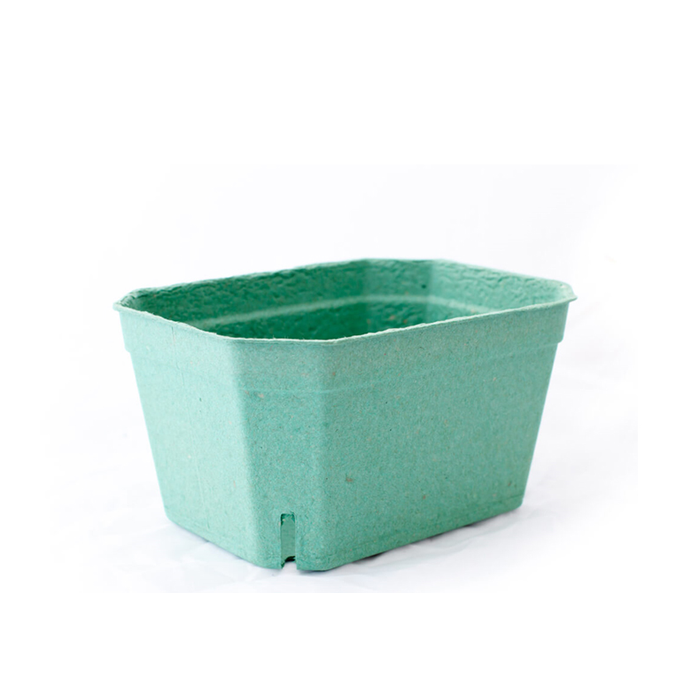 Bandeja Alta Fibra Carton. 500g. Para Frutas Y Vegetales. (PAQ/50 Uds) · VasoMadrid