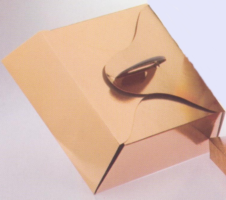 Cajas Tartas Cuadradas 26 X 26 X 10 C/ 50 Ud · 50 unidades · Vifra