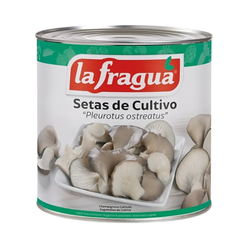 Setas de Cultivo I Lata 3 kg (Pleurotus ostreatus) · 6 unidades · La Fragua