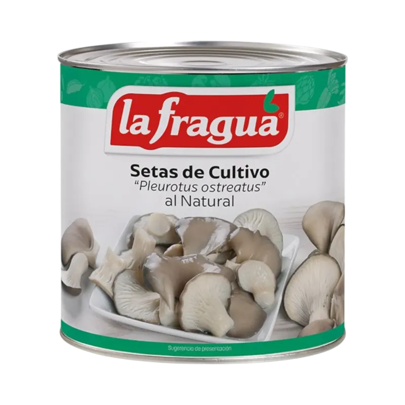 Setas de Cultivo I Lata 3 kg (Pleurotus ostreatus) · 6 unidades · La Fragua