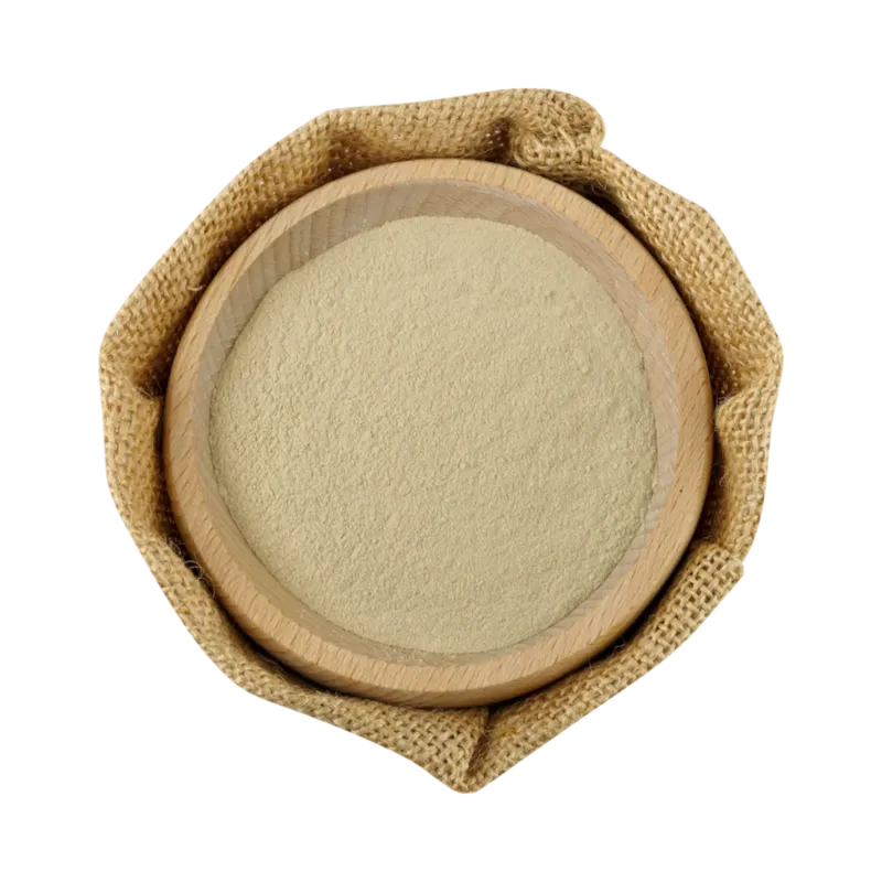 Ajo Molido PET 700 g · 6 unidades · La Fragua