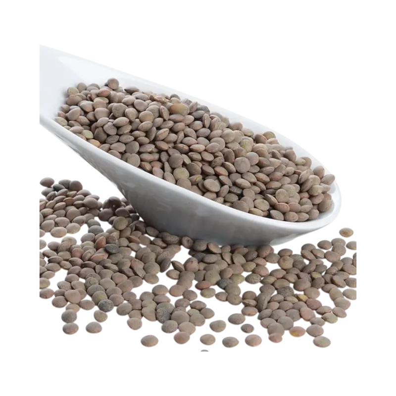 Lenteja Pardina Extra Saco 10 kg · 10 unidades · La Fragua