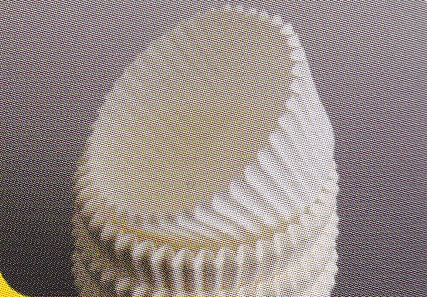 Capsulas Super Extra Nº 7 Pqte 2,5 Millares · Vifra
