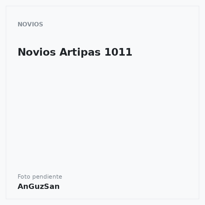 Novios Artipas 1011 · Dekora